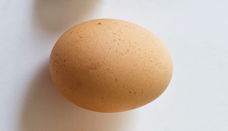 chicken egg - types of poultry eggs