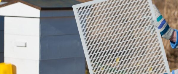 Queen Excluders: What They Are and Should You Use One?