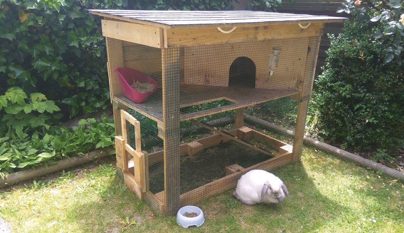 rabbit hutch