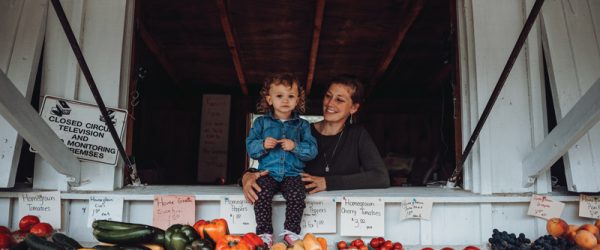 Roadside Farm Stand: 9 Tips for Starting Your Own