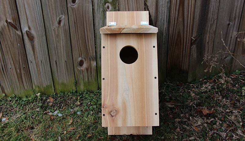 eatern screech owl nest box in a garden
