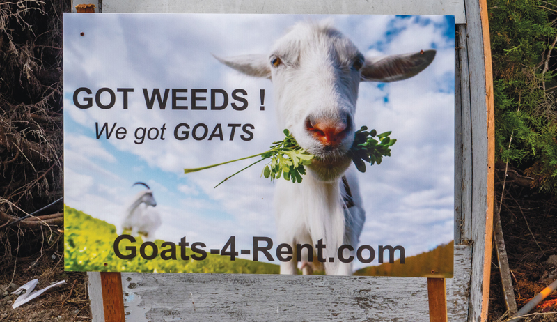 farm side hustles farmer side hustle