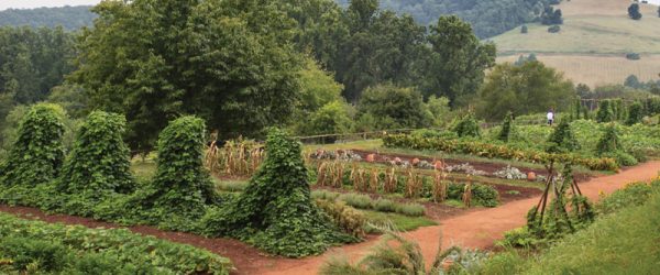 Presidents Who Were The Nation’s Founding Farmers