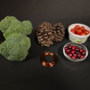 broccoli, pinecones, cranberries and tomatoes being used to make a chicken Christmas wreath