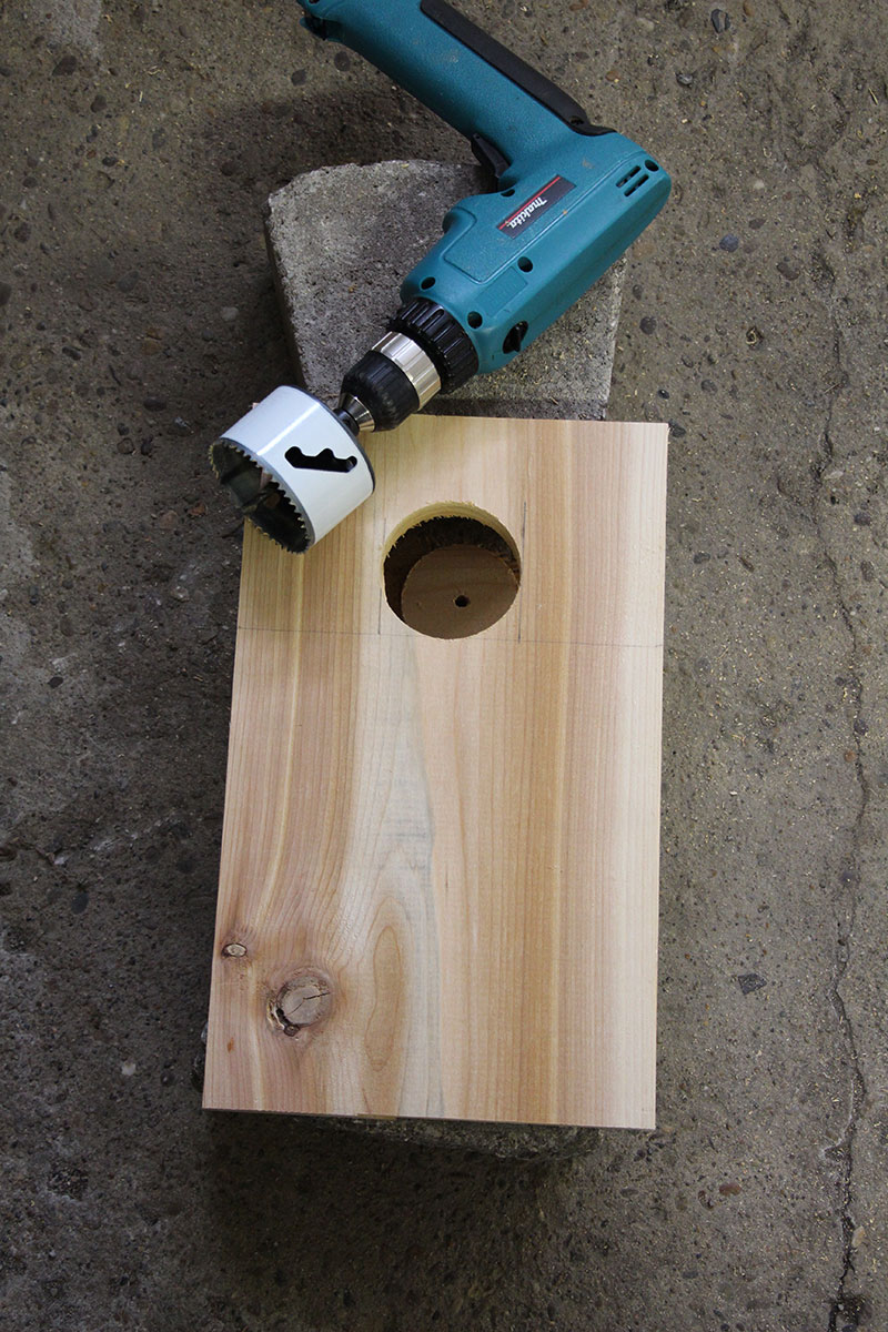 making an eastern screeech owl nest box