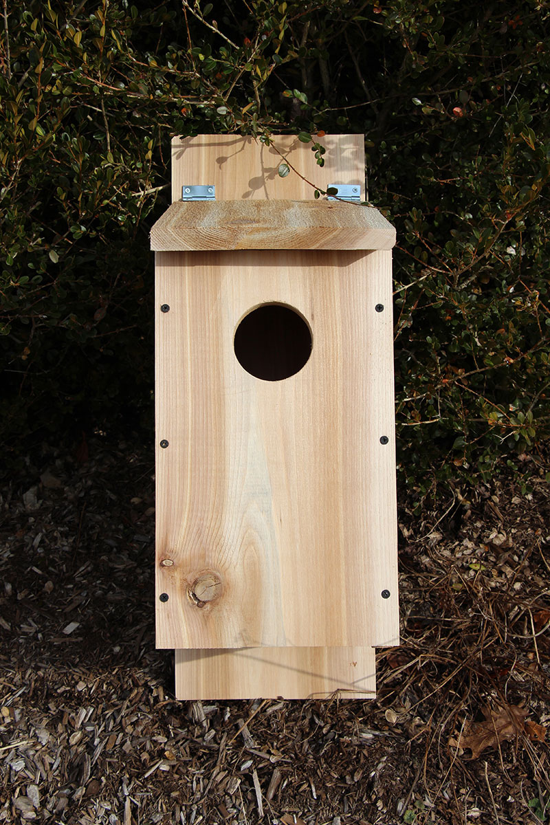 completed eastern screech owl nest box