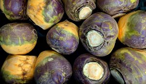 bunch of purple and orange turnips