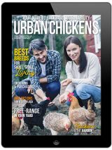 urban chickens digital-2020