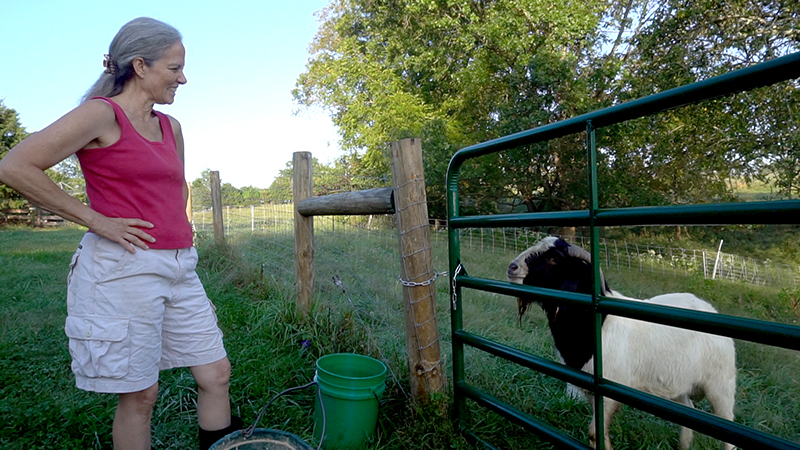 women farmers wisdom death pamla wood goat