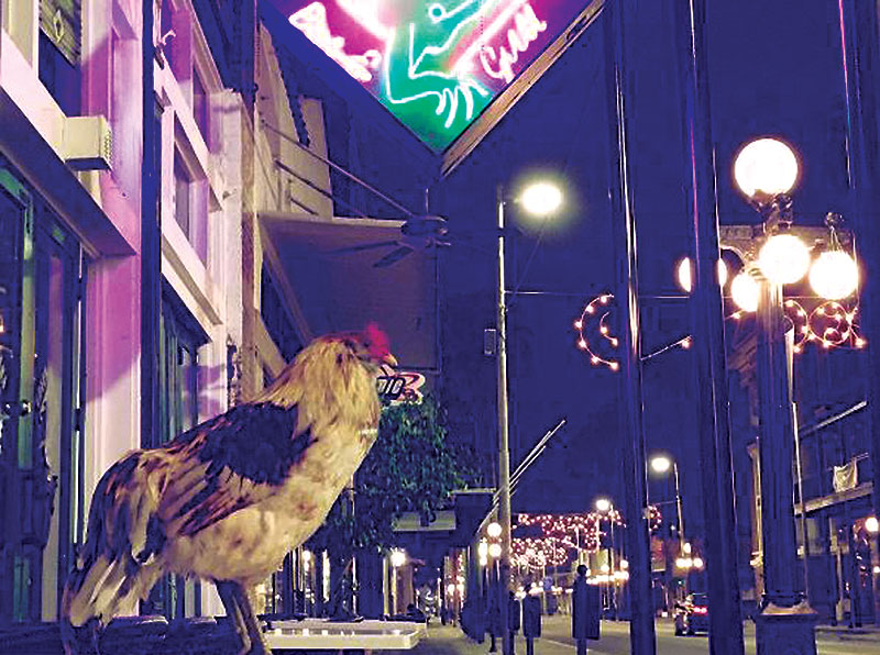 ybor city chickens seventh avenue