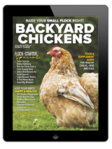 chicken coops & playgrounds backyard digital