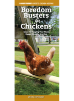 bordedom busters for chickens guide