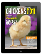 2025 ducks 101 annual today