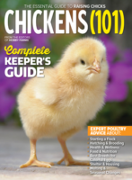 2025 ducks 101 annual today