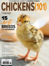 order the 2022 chickens 101 annual today