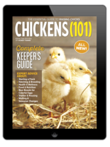 Order the 2024 Chicken Coops & Playgrounds