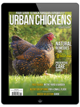 purchase the 2021 ducks 101 annual today