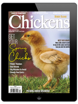 purchase the 2021 ducks 101 annual today