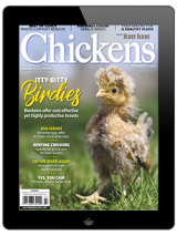 Chickens-July/August 2022