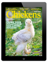 chickens magazine combo Jul/Aug 2025