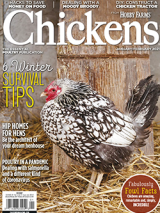 chickens-jan/feb 2021