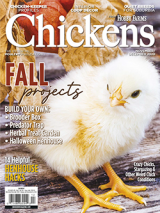 chickens magazine subscription