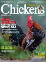 chickens- nov/dec 2024