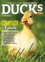 2025 ducks 101 annual today