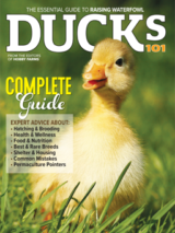 2025 ducks 101 annual today