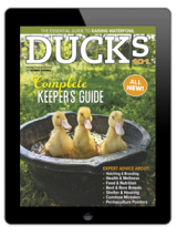 2024 chicken coops & playgrounds