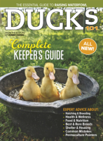 2024 chicken coops & playgrounds