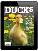 purchase the 2021 ducks 101 annual today