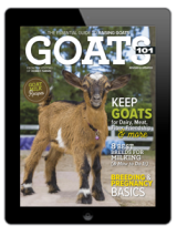 goats digital issue