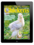 chickens magazine combo Jul/Aug 2025